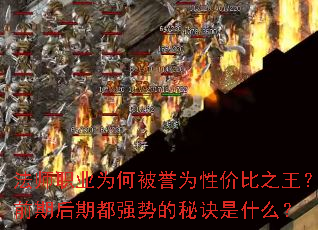 法师职业为何被誉为性价比之王?前期后期都强势的秘诀是什么? 法师职业为何被誉为性价比之王?前期后期都强势的秘诀是什么?
