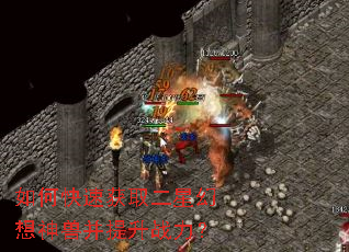 如何快速获取二星幻想神兽并提升战力? 如何快速获取二星幻想神兽并提升战力?