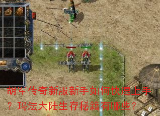 胡军传奇新服新手如何快速上手?玛法大陆生存秘籍有哪些? 胡军传奇新服新手如何快速上手?玛法大陆生存秘籍有哪些?