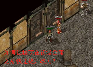 如何让程瑛在初级金庸之巅快速提升战力? 如何让程瑛在初级金庸之巅快速提升战力?