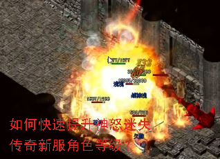 如何快速提升神怒迷失传奇新服角色等级? 如何快速提升神怒迷失传奇新服角色等级?