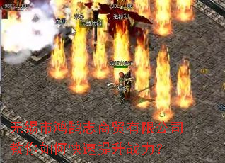 无锡市鸿鹄志商贸有限公司教你如何快速提升战力? 无锡市鸿鹄志商贸有限公司教你如何快速提升战力?