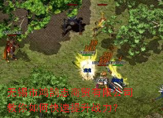 无锡市鸿鹄志商贸有限公司教你如何快速提升战力? 无锡市鸿鹄志商贸有限公司教你如何快速提升战力?