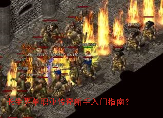 长生界单职业传奇新手入门指南? 长生界单职业传奇新手入门指南?