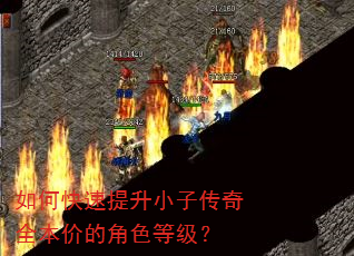 如何快速提升小子传奇全本价的角色等级? 如何快速提升小子传奇全本价的角色等级?