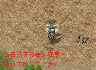 每日新开传奇,开局怎么玩才能领先一步? 每日新开传奇,开局怎么玩才能领先一步?