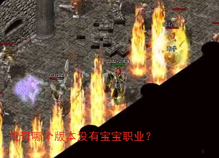 传奇哪个版本没有宝宝职业? 传奇哪个版本没有宝宝职业?
