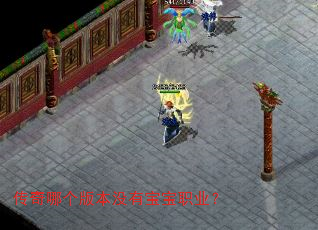 传奇哪个版本没有宝宝职业? 传奇哪个版本没有宝宝职业?