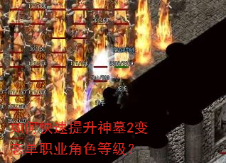 如何快速提升神墓2变态单职业角色等级? 如何快速提升神墓2变态单职业角色等级?