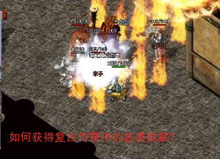 ��λ�ø��Ŵ����еĸ���ѫ�£�
