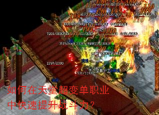 ��������ó��䵥ְҵ�п�������ս������