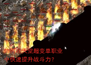 ��������ó��䵥ְҵ�п�������ս������