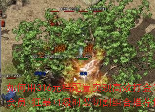 如何用316元档配置实现高效打金?小神魔+会员+狂暴+1级时装切割组合推荐指数解析 如何用316元档配置实现高效打金?小神魔+会员+狂暴+1级时装切割组合推荐指数解析