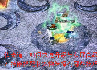 传奇道士如何快速升级与获取高级装备?技能搭配和宠物选择有哪些技巧? 传奇道士如何快速升级与获取高级装备?技能搭配和宠物选择有哪些技巧?