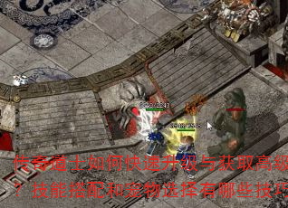 传奇道士如何快速升级与获取高级装备?技能搭配和宠物选择有哪些技巧? 传奇道士如何快速升级与获取高级装备?技能搭配和宠物选择有哪些技巧?