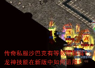 ����˽��ɳ�Ϳ��еȼ����������������°���������ã�