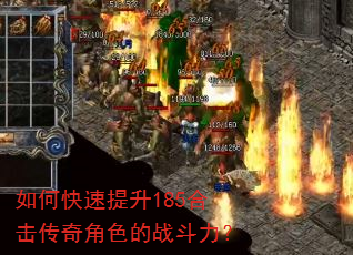 ��ο�������185�ϻ������ɫ��ս������