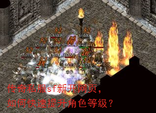 传奇私服sf新开网页,如何快速提升角色等级? 传奇私服sf新开网页,如何快速提升角色等级?