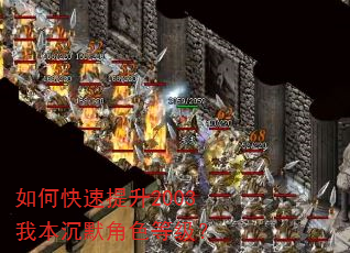 如何快速提升2003我本沉默角色等级? 如何快速提升2003我本沉默角色等级?