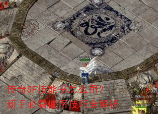 传奇SF技能书怎么用?新手必看使用技巧全解析 传奇SF技能书怎么用?新手必看使用技巧全解析