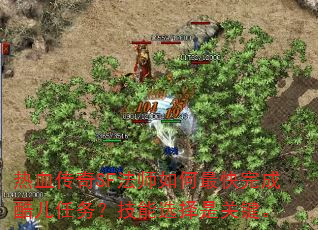 ��Ѫ����SF��ʦ��������ɿ�����񣿼���ѡ���ǹؼ���