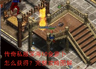 传奇私服深海10金萝卜怎么获得?完整攻略图解 传奇私服深海10金萝卜怎么获得?完整攻略图解