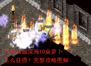 传奇私服深海10金萝卜怎么获得?完整攻略图解 传奇私服深海10金萝卜怎么获得?完整攻略图解