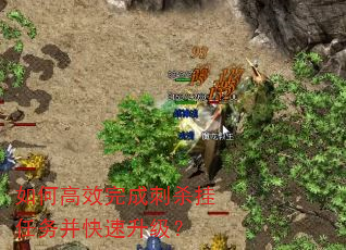 如何高效完成刺杀挂任务并快速升级? 如何高效完成刺杀挂任务并快速升级?