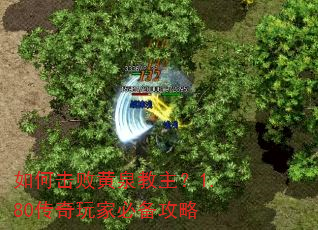 如何击败黄泉教主?1.80传奇玩家必备攻略 如何击败黄泉教主?1.80传奇玩家必备攻略