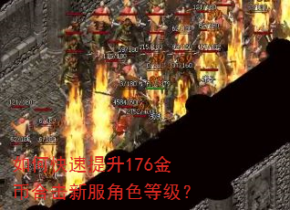 如何快速提升176金币合击新服角色等级? 如何快速提升176金币合击新服角色等级?