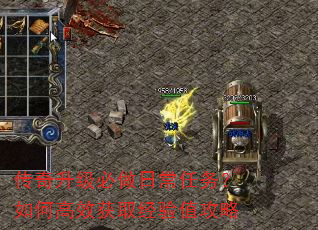 传奇升级必做日常任务?如何高效获取经验值攻略 传奇升级必做日常任务?如何高效获取经验值攻略