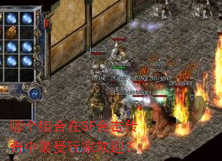 哪个组合在SF合击传奇中最受玩家欢迎? 哪个组合在SF合击传奇中最受玩家欢迎?