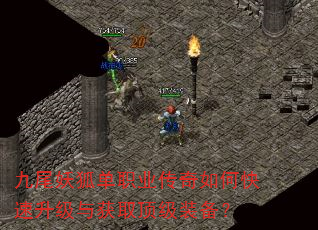 九尾妖狐单职业传奇如何快速升级与获取顶级装备? 九尾妖狐单职业传奇如何快速升级与获取顶级装备?
