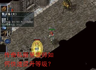 传奇私服里法师如何快速提升等级? 传奇私服里法师如何快速提升等级?