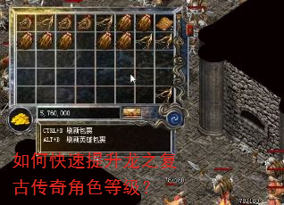如何快速提升龙之复古传奇角色等级? 如何快速提升龙之复古传奇角色等级?