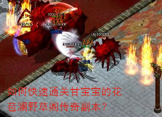 如何快速通关甘宝宝的花苞澜野草阁传奇副本? 如何快速通关甘宝宝的花苞澜野草阁传奇副本?
