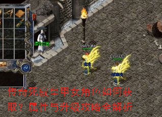 传奇死寂皇甲女角色如何获取?属性与升级攻略全解析 传奇死寂皇甲女角色如何获取?属性与升级攻略全解析