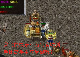 菜鸟的快乐:为何有时新手比高手更享受游戏? 菜鸟的快乐:为何有时新手比高手更享受游戏?