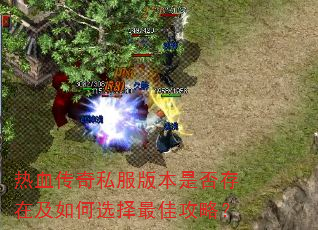热血传奇私服版本是否存在及如何选择最佳攻略? 热血传奇私服版本是否存在及如何选择最佳攻略?