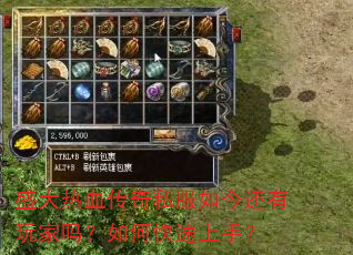 盛大热血传奇私服如今还有玩家吗?如何快速上手? 盛大热血传奇私服如今还有玩家吗?如何快速上手?