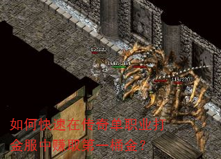 如何快速在传奇单职业打金服中赚取第一桶金? 如何快速在传奇单职业打金服中赚取第一桶金?