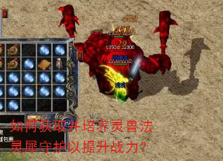 如何获取并培养灵兽法灵犀守护以提升战力? 如何获取并培养灵兽法灵犀守护以提升战力?