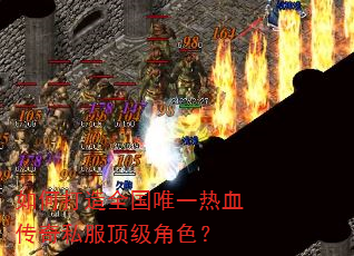 如何打造全国唯一热血传奇私服顶级角色? 如何打造全国唯一热血传奇私服顶级角色?