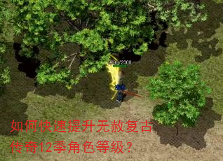 如何快速提升无赦复古传奇12季角色等级? 如何快速提升无赦复古传奇12季角色等级?