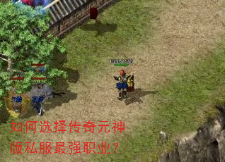 如何选择传奇元神版私服最强职业? 如何选择传奇元神版私服最强职业?