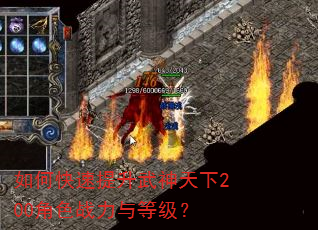 如何快速提升武神天下200角色战力与等级? 如何快速提升武神天下200角色战力与等级?