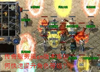 传奇服务端gm版本库如何快速提升角色等级? 传奇服务端gm版本库如何快速提升角色等级?