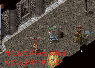 传奇服务端gm版本库如何快速提升角色等级? 传奇服务端gm版本库如何快速提升角色等级?